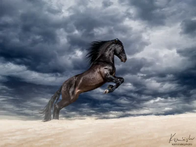 Black horse galloping sand storm clouds