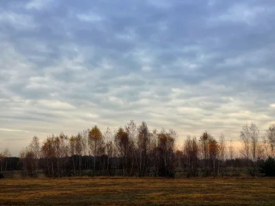 Fall trees sky horizon