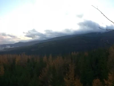 Forest mountains clouds sky