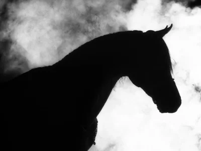 Horse silhouette clouds