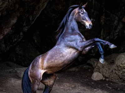 'unbridled horse cave'