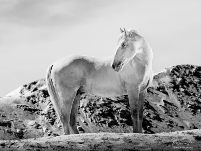 White horse mountains sky